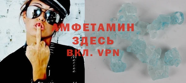 шишки Абаза