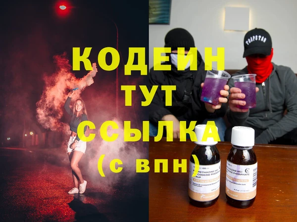 шишки Абаза