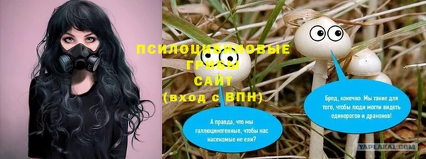 Альфа ПВП Алзамай