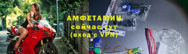 шишки Абаза
