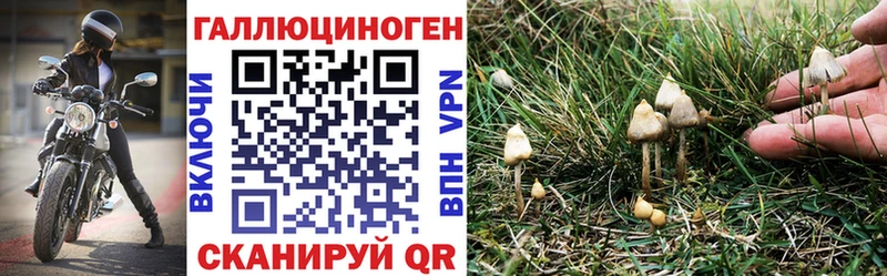 Псилоцибиновые грибы Magic Shrooms Сысерть